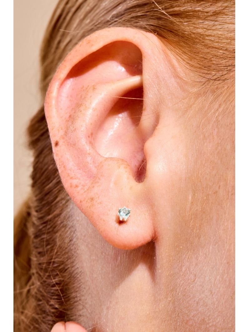 Brinco | Trio animais marinhos